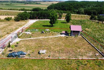 Teren Construcții intravilan de 500 mp, în Sud - 5