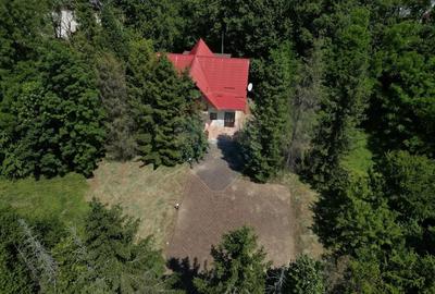 Casă individuală cu 4 camere cu Teren 1300 Mp în Păltinoasa - 5