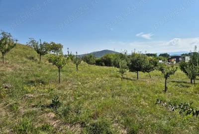 Teren de 12300 mp, în Crainimăt - 1