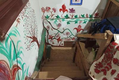 Casă individuală cu 8 camere cu Teren 744 Mp în Ilidia - 35