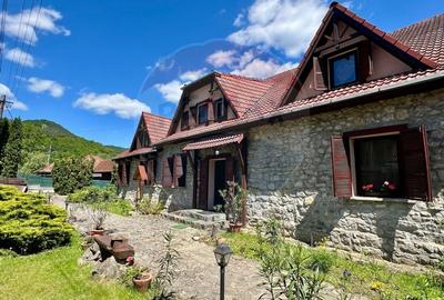 Pensiune cu 13 camere de vanzare in Bulz - 42