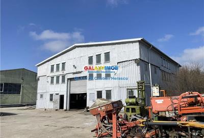 Spațiu industrial, de 500 mp, în Sud-Vest - 2