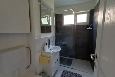 Apartament cu 2 camere semidecomandat, mobilat în Take Ionescu - 3