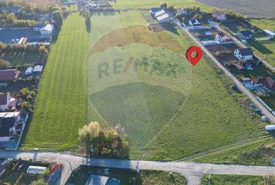 Terenul casei tale de 892mp din Colonia Bod / Strada Rozelor - 2