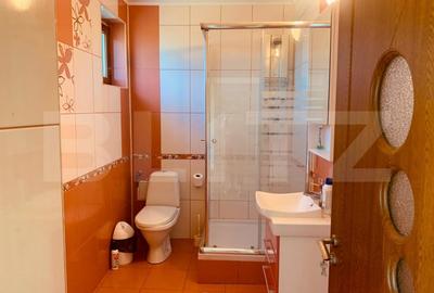 Vila 380mp, cu panorama si curte de 2100 mp in Carcea - 19