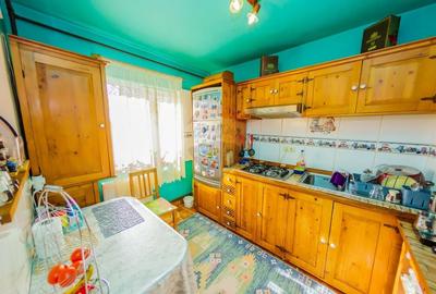 Apartament de vanzare Victoriei, garaj si curte proprie - 3
