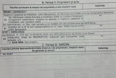 Spațiu comercial, în Sântandrei - 2