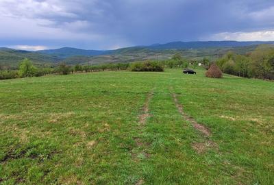 Casă cu 2 camere în Vânători - 1