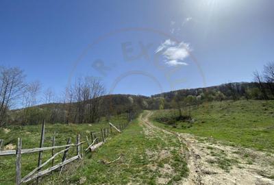 Teren 13.000 mp zona de deal - Aninoasa AG - 3