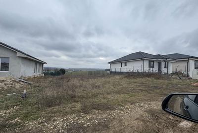 Spațiu comercial, în Cihei