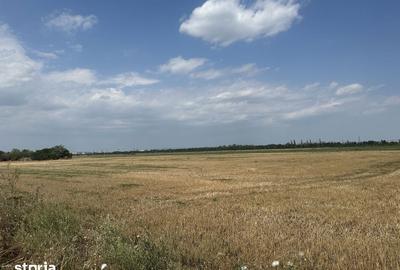 Teren de 19062 mp, în Vest - 3