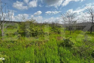 Spațiu comercial, în Cârcea - 6