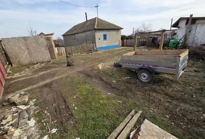 Casă cu 3 camere cu Teren 2029 Mp în Sabangia - 3