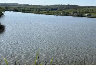 Casa pe malul lacului Paleu teren 510 mp - priveliste deosebita - 4