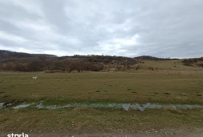 Teren de 2500 mp, în Central - 12