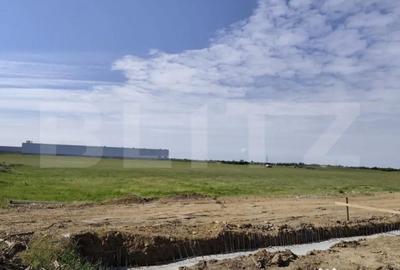 Teren de 10000 mp, în Nufărul - 2