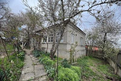 Teren de 2500 mp, în Gângiova - 4