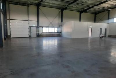 Hala noua de inchiriat, Zona Aeroport - 6