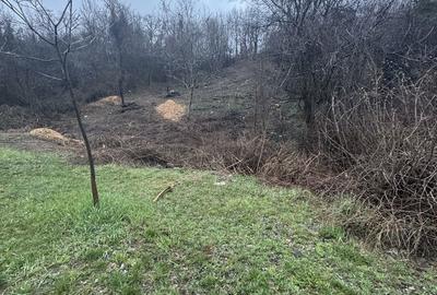 Spațiu comercial, în Central