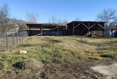 Casa si teren de vanzare Dambovita - 4