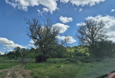 Vand loc de casa Goruia - 7