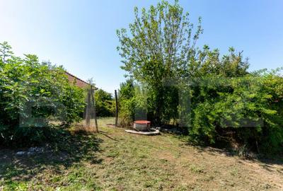 Casa de vanzare in Rovina(Branisca) - 5