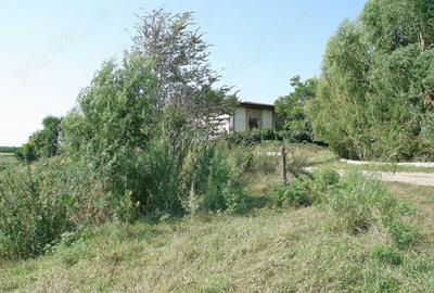 Teren de 19720 mp, în Belciugatele - 10