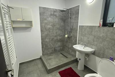 Apartament 2 camere de inchiriat Geamana , zona Targul Saptamanal - 3