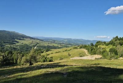 Teren de 13000 mp, în Talea - 1