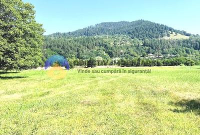 Teren agricol intravilan de 3600 mp, în Preluca