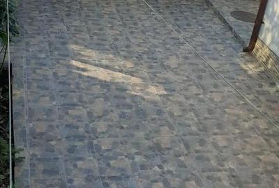 COICIU-Casa cocheta renovata 165000 euro! - 9