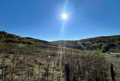 Teren intravilan 700mp , zona Valea Garbaului - 2