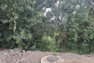 Teren de 1800 mp, în Piatra - 3