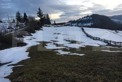 Teren Construcții intravilan de 2050 mp, în Scărișoara - 2