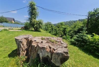 View superb:intravilan,constructie rezidenta/hotel, 2.327 mp,Moieciu de Jos, Bra - 24