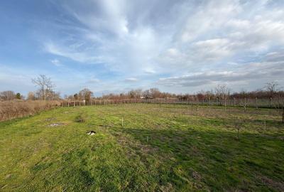 Casă cu 3 camere cu Teren 4858 Mp în Silistraru - 3