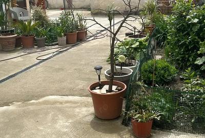 Camera de inchiriat Lugoj, zona centrala - 1