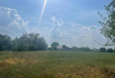 Teren intravilan de 954 mp, în Cernica