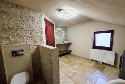 Vila, Cerneteaz, Teren Generos, Casa de Oaspeti, Beci, Garaj - 21