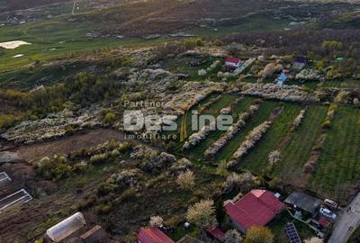 Teren de 900 mp, în Bârnova - 2