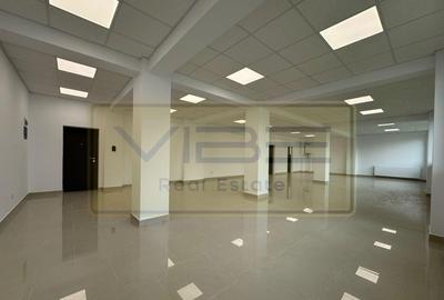Spatiu office / comercial Valea Lupului - Strada Garoafei - 6