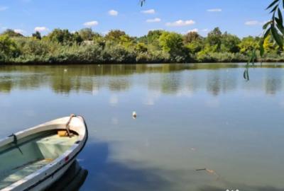 Casă cu 5 camere cu Teren 794 Mp în Livedea - 17