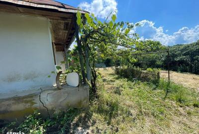 Casă cu 2 camere în Hertioana de Jos - 18
