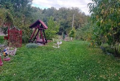 Case si teren 5600 mp in Cepari Arges - 2