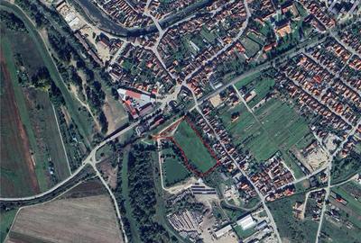 RECO Teren intravilan 13.500 mp Beius - 3