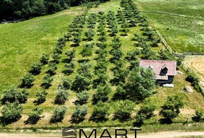 Teren extravilan 5000mp zona Cisnadie - 3