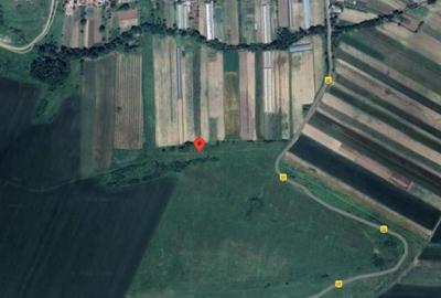Teren extravilan, Loc. Strejesti, Jud. Olt - 2