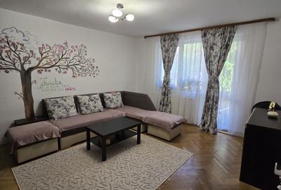 Apartament cu 2 camere decomandat în Cetate - 4