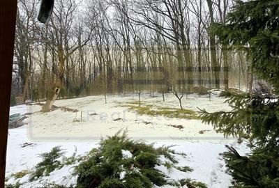 Spațiu comercial, de 270 mp, în Copou - 17