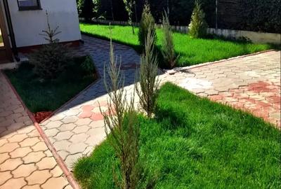 Urgent!Proprietar - 1